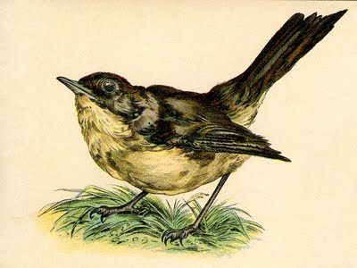 Ode to a Nightingale