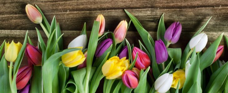 How the spring season inspires me to write